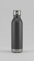 Stainless Steel Insulated Bottle